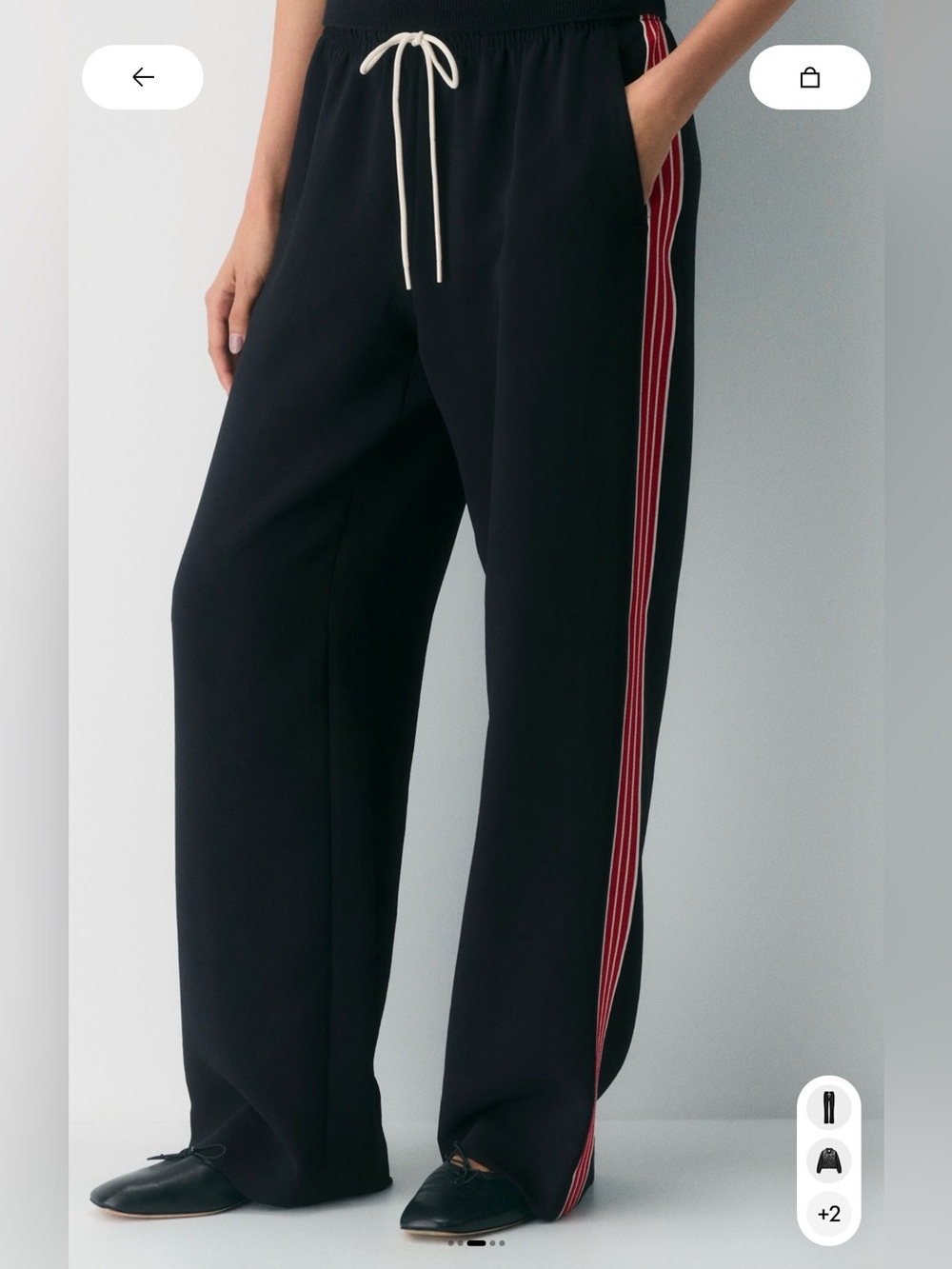 Aritzia Thesis pants